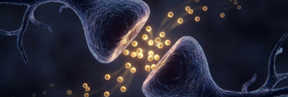De rol van dopamine: inside het ADHD brein.